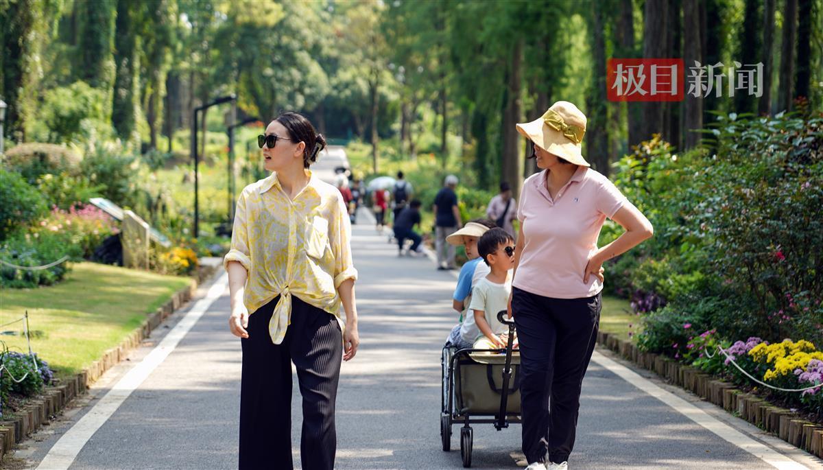 银钻娱乐下载安裝